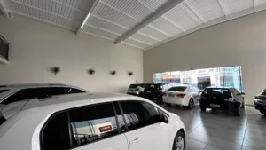 Imagem da galeria