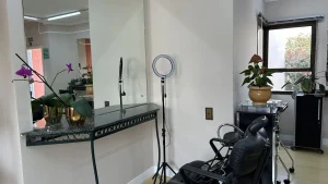 Imagem da galeria