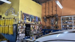 Imagem da galeria