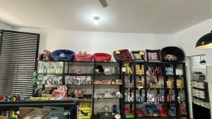 Imagem da galeria